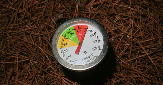 Close-up of a compost thermometer in soil, temperature in active range.