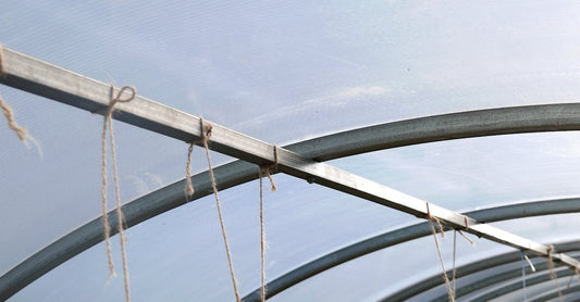 Inside view of a modern greenhouse tunnel showcasing steel arches and strings.