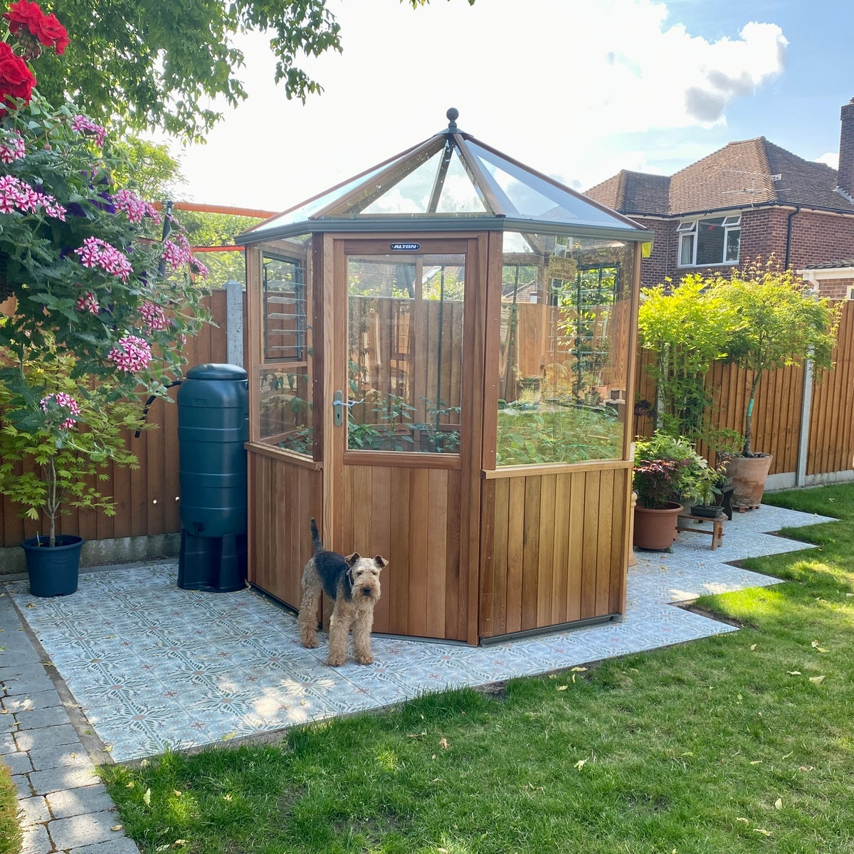 Alton | Octagonal Half Board Cedar Greenhouse With 3mm Tempered Glass Glazing