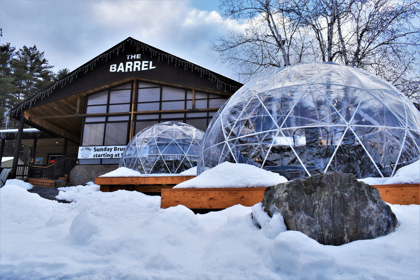 Garden Igloo | Dome Winter Garden Replacement Cover V2