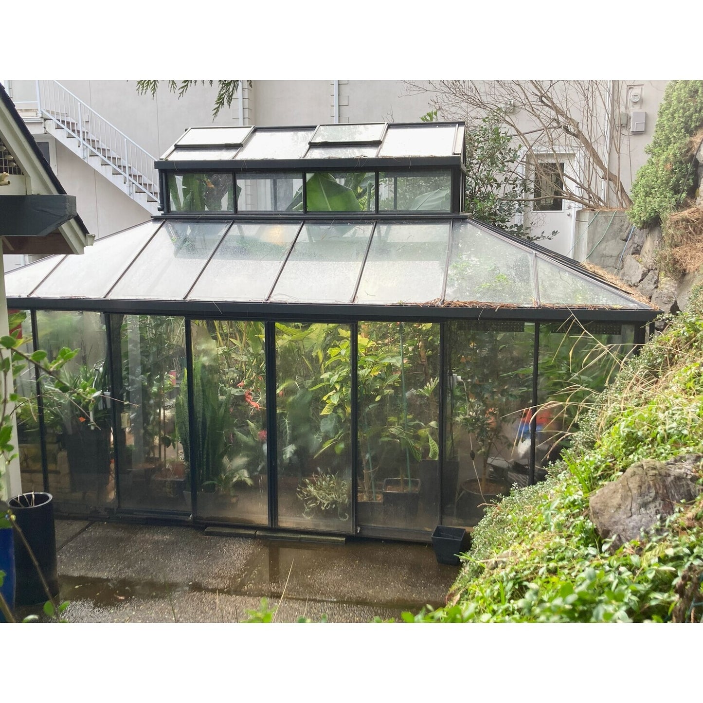 Janssens | Cathedral Victorian Glass Greenhouse Kit With 4mm Tempered Glass Glazing