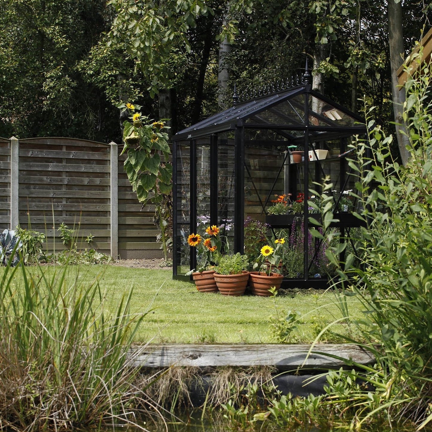 Janssens | 5x8 ft Helios Urban Victorian Glass Greenhouse Kit With 4mm Tempered Glass Glazing