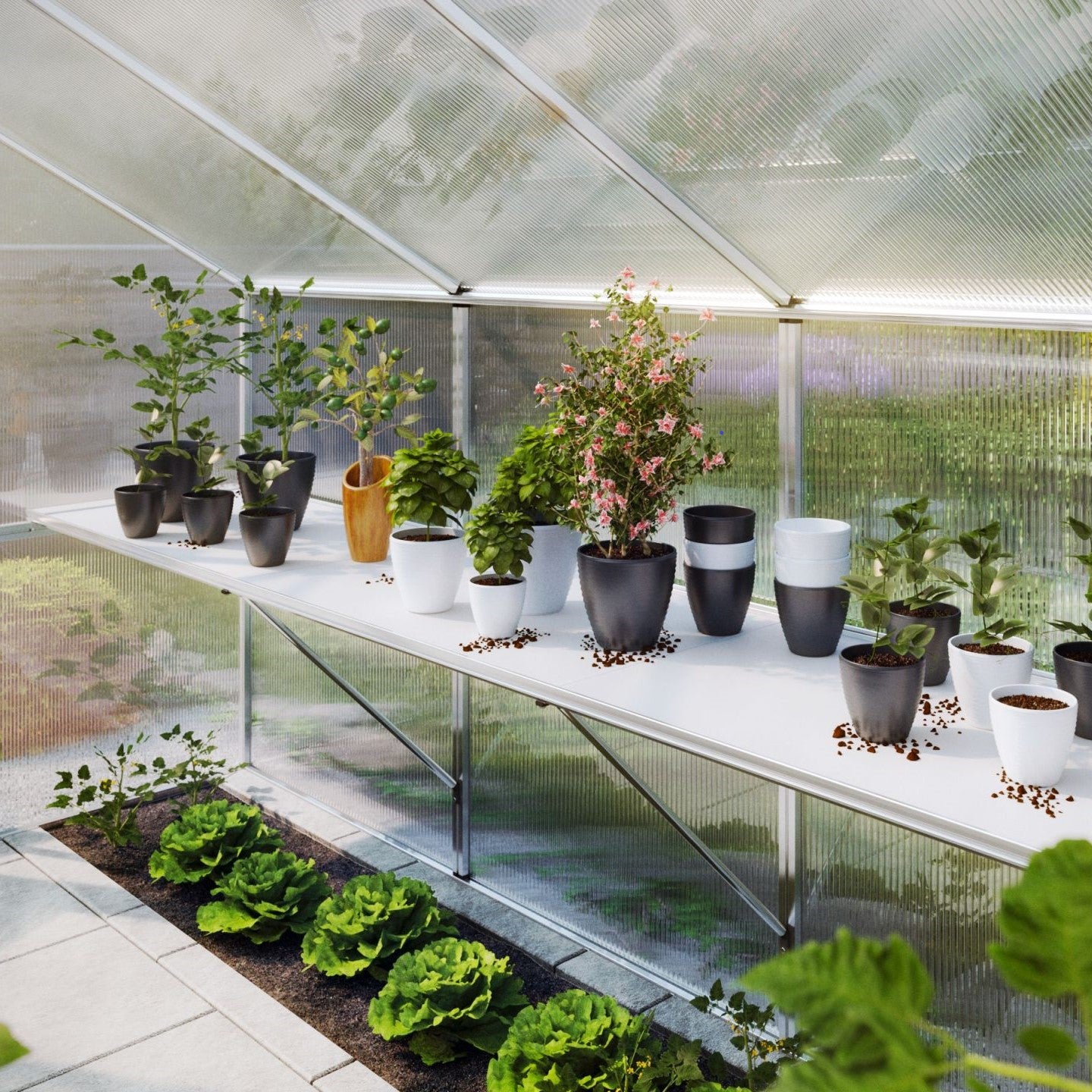 KGT | 25in Bottom Shelf for Nelke PRO 4 Greenhouse