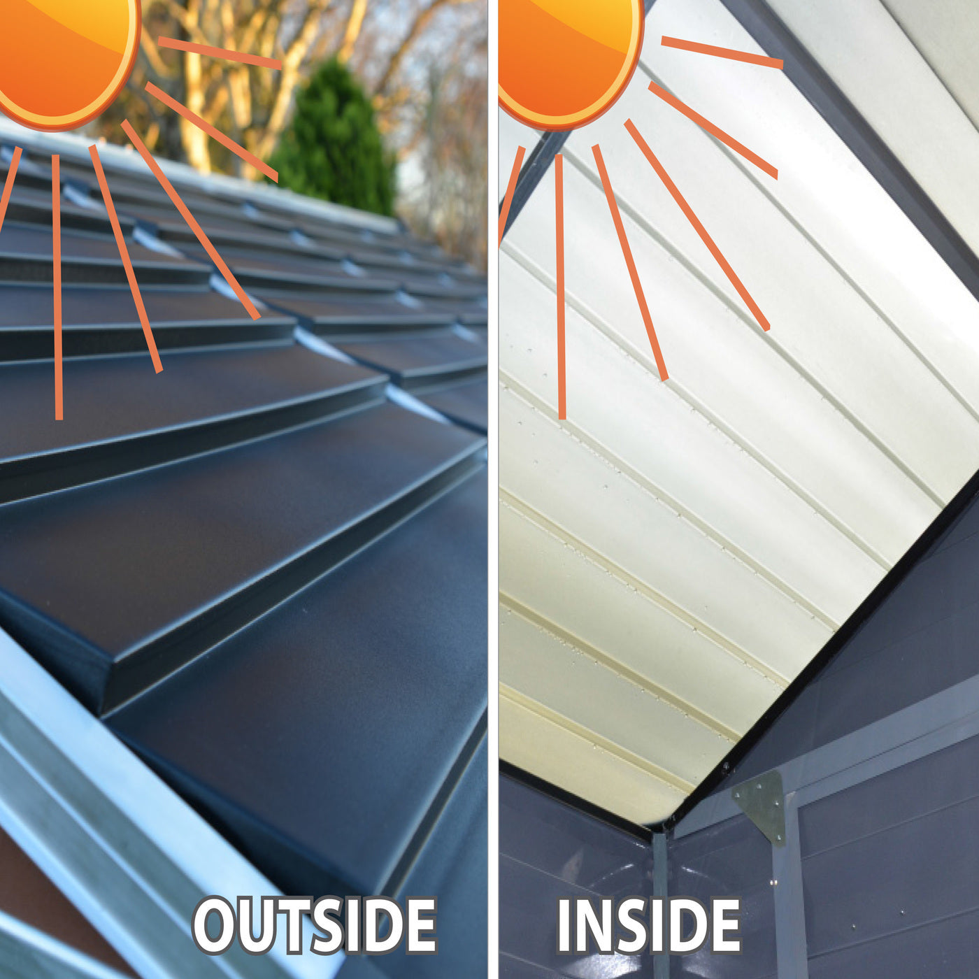 Palram - Canopia | SkyLight Polycarbonate Storage Shed - 6' Wide