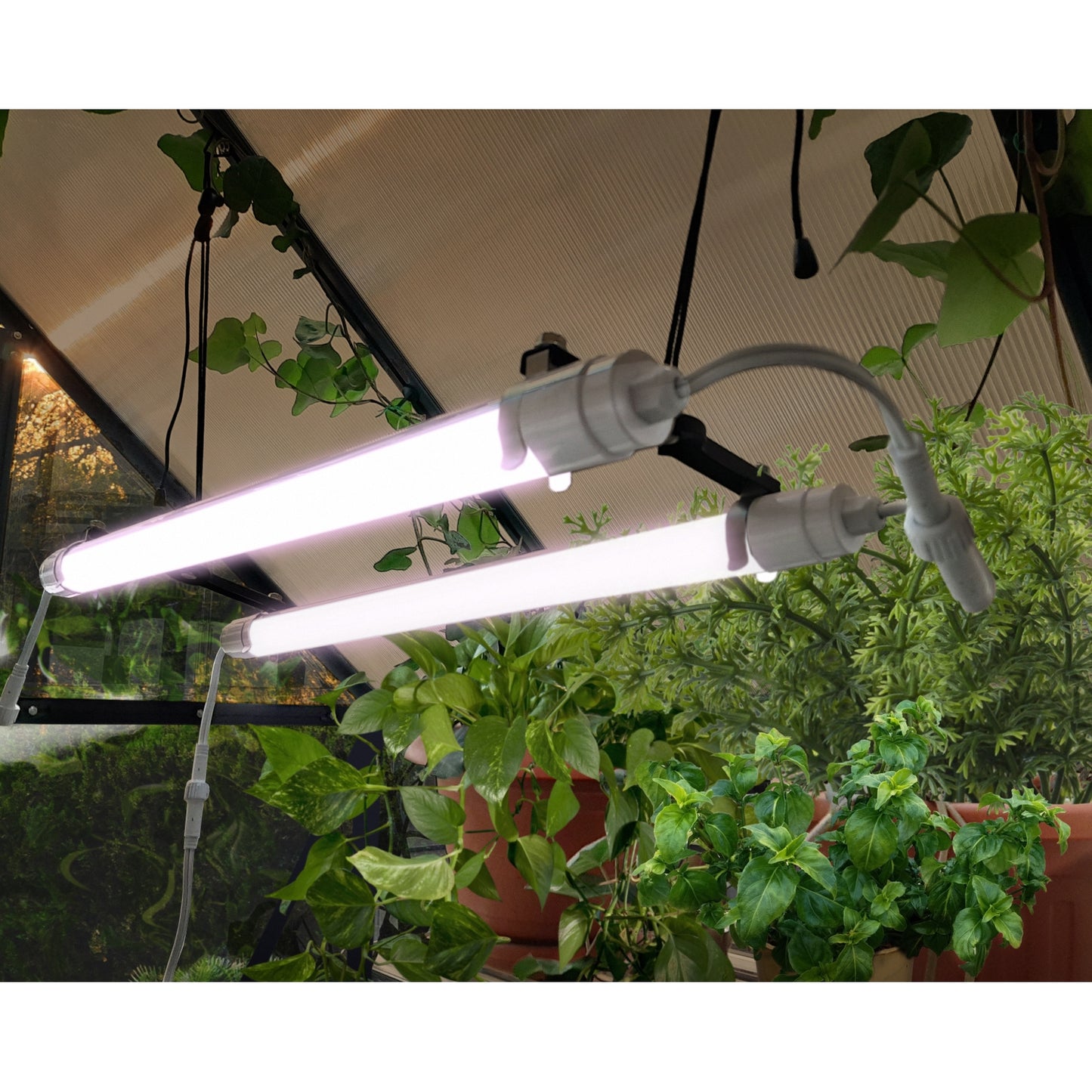 Palram - Canopia | Brighton - LED Grow Light