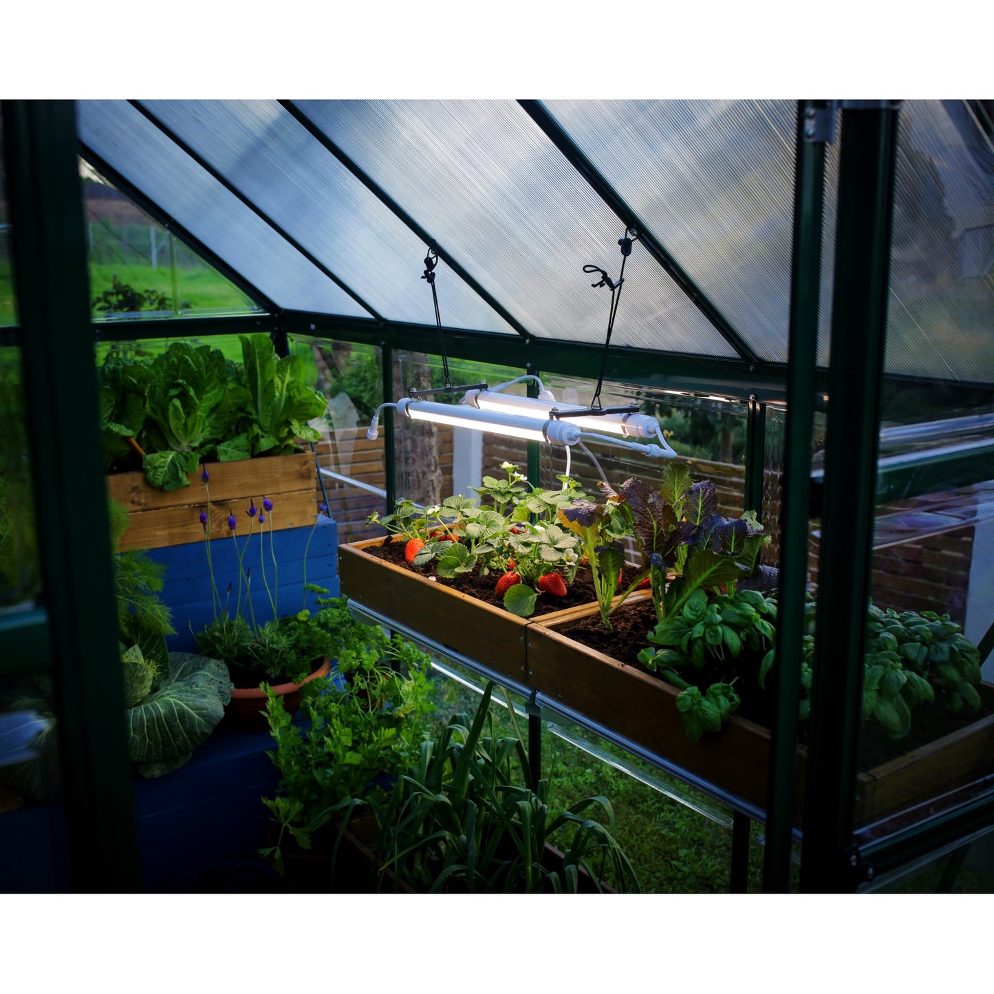 Palram - Canopia | Brighton - LED Grow Light