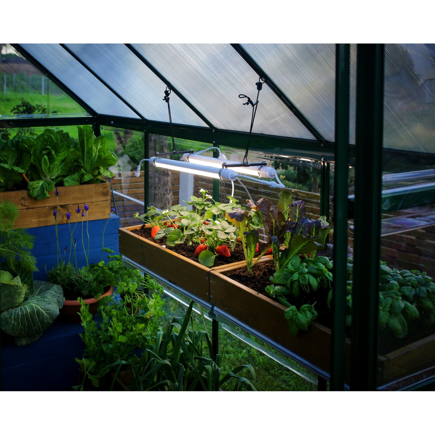 Palram - Canopia | Brighton - LED Grow Light
