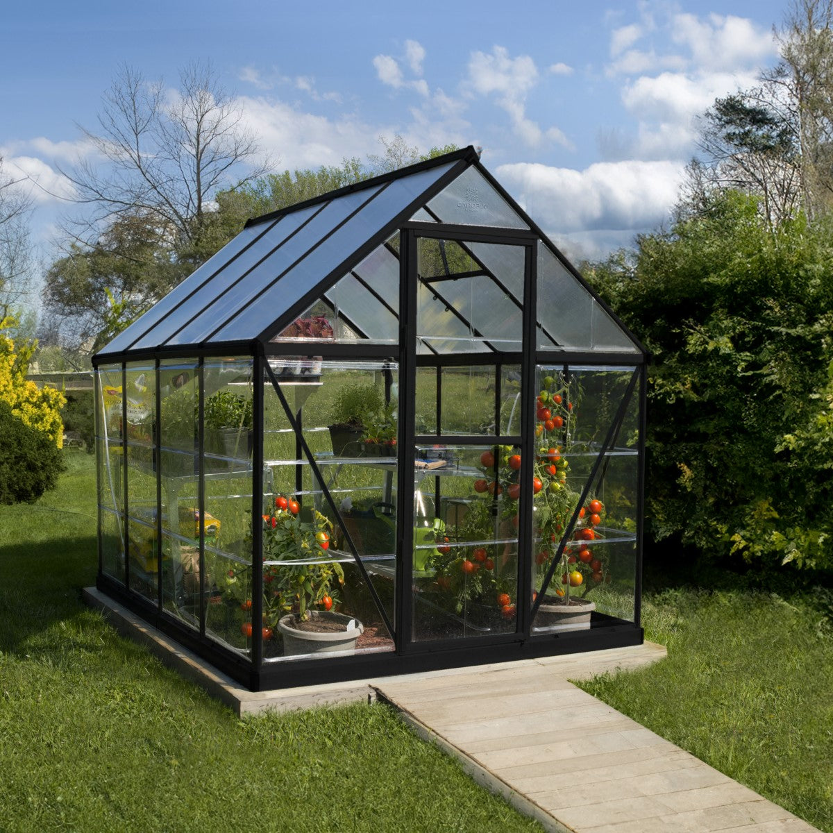 Palram - Canopia | Hybrid 6x8 ft - Black Frame With Polycarbonate Hybrid Panels