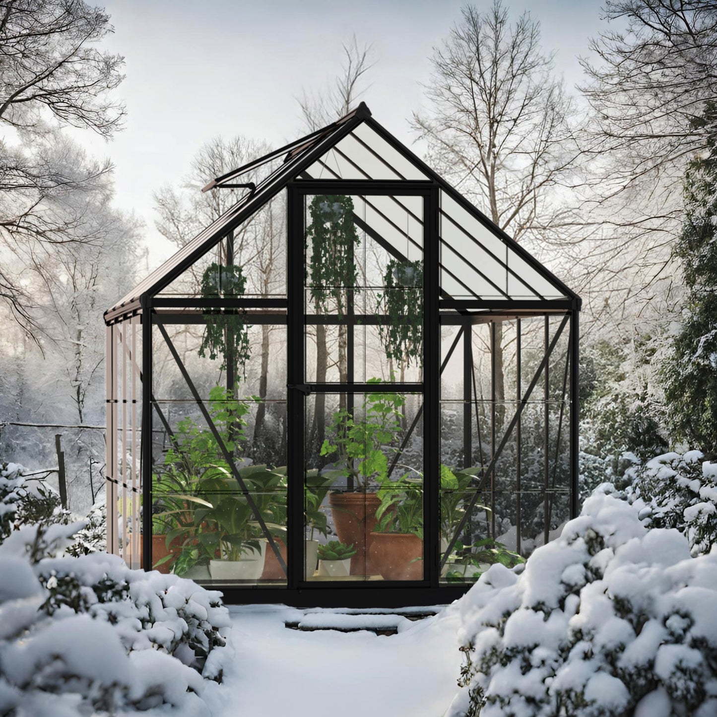 Palram - Canopia | Hybrid 6x8 ft - Black Frame With Polycarbonate Hybrid Panels