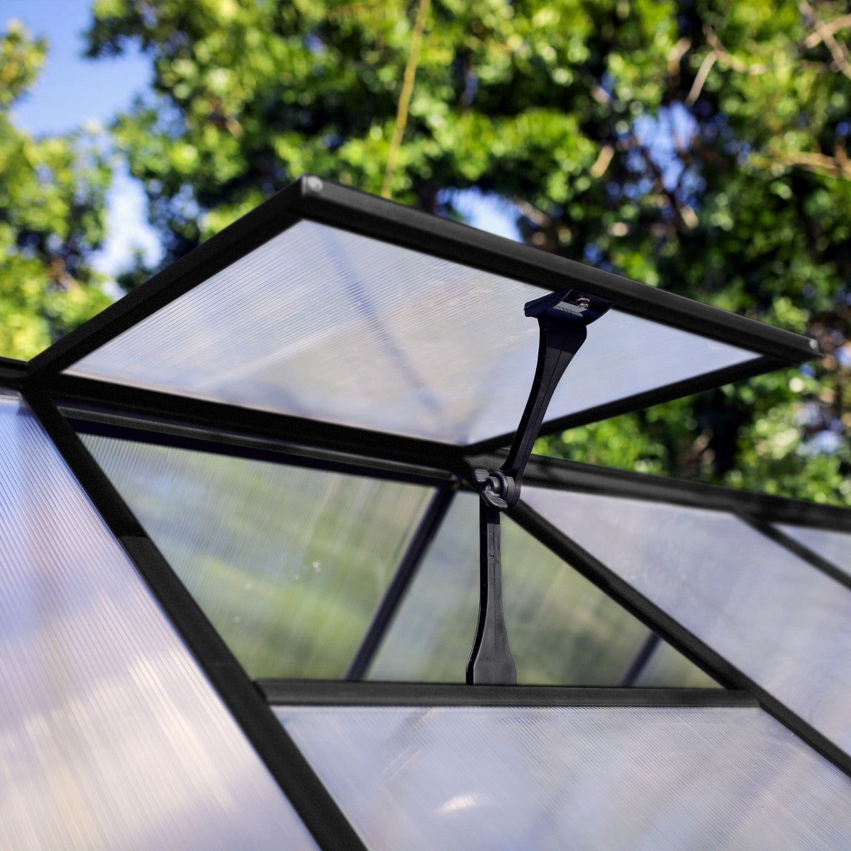 Palram - Canopia | Hybrid 6x8 ft - Black Frame With Polycarbonate Hybrid Panels