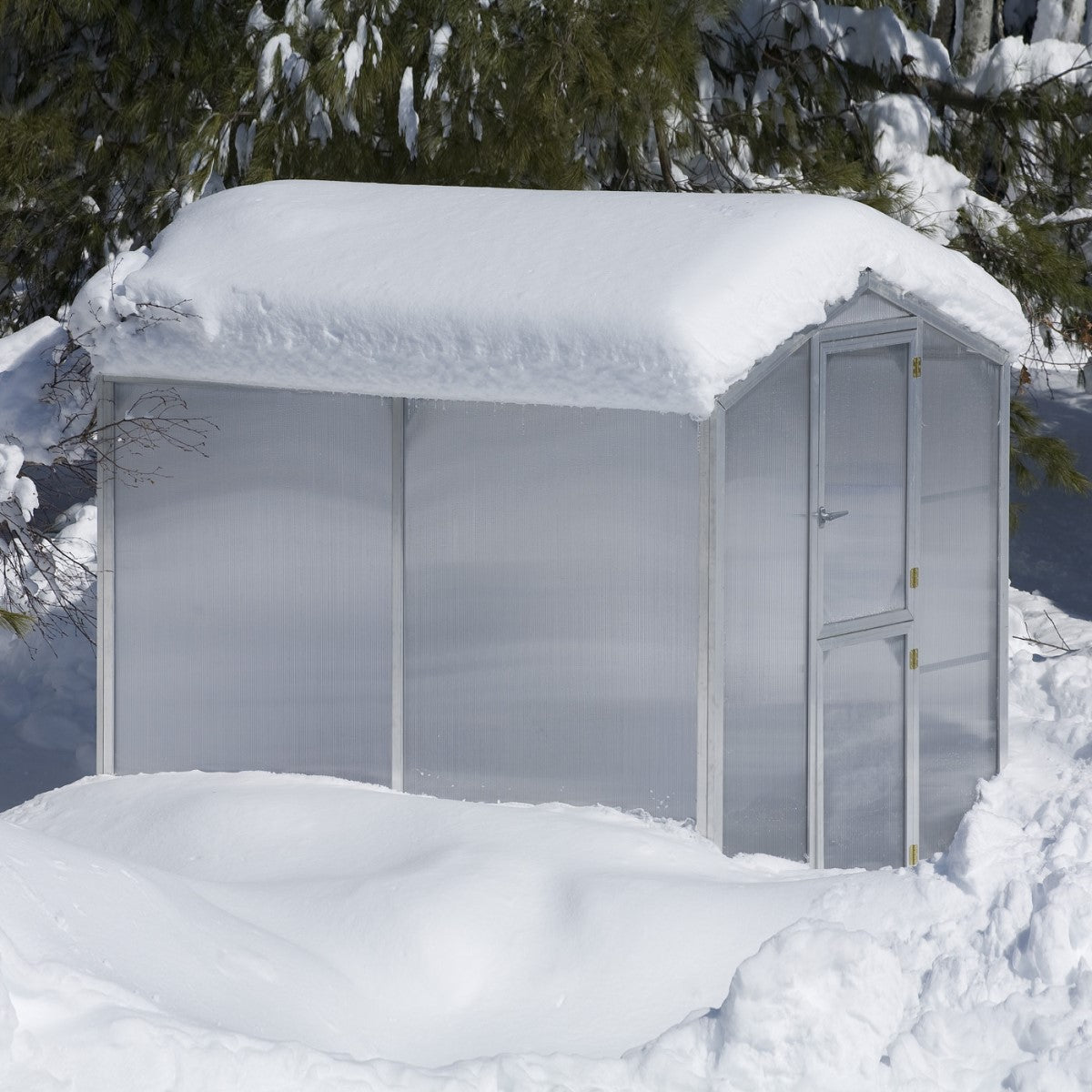 Santa Barbara | Montecito Aluminum Greenhouse With 8mm Twin Wall Polycarbonate Glazing