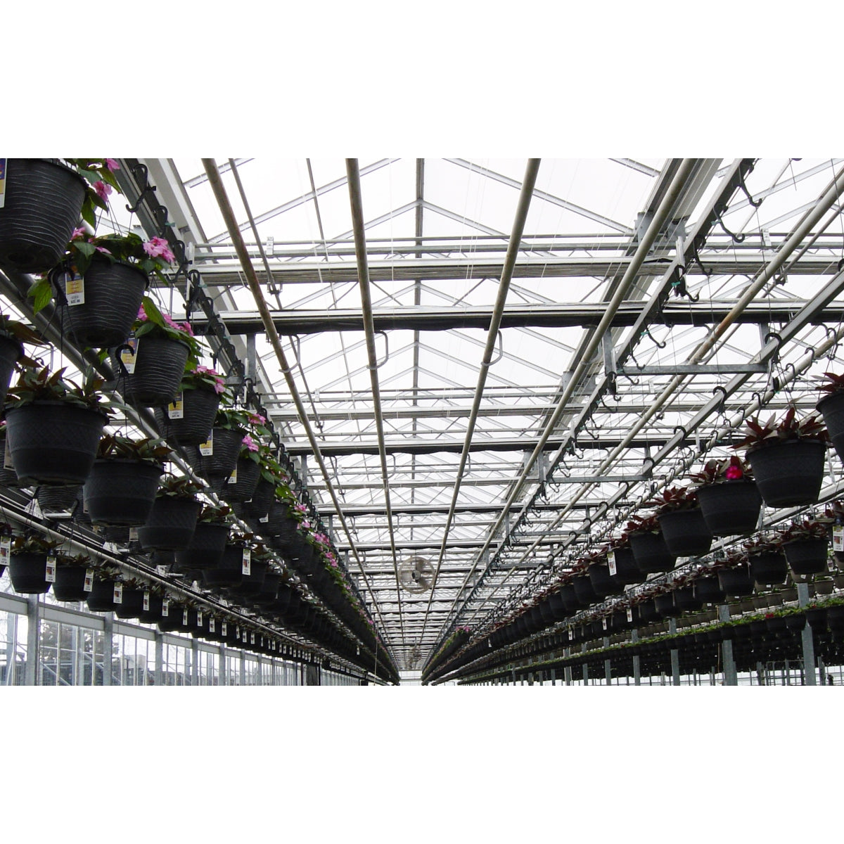 Solexx | Premium Professional Greenhouse Covering - Bulk Rolls