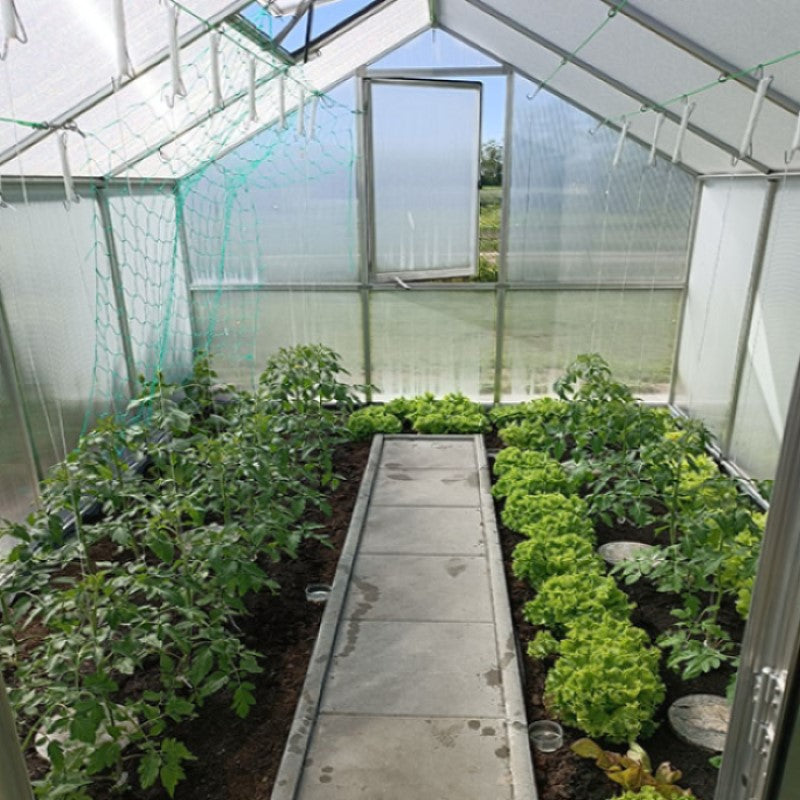 KGT | Nelke PRO 4 10x14 ft Greenhouse With 16mm Triple-Wall Polycarbonate Glazing