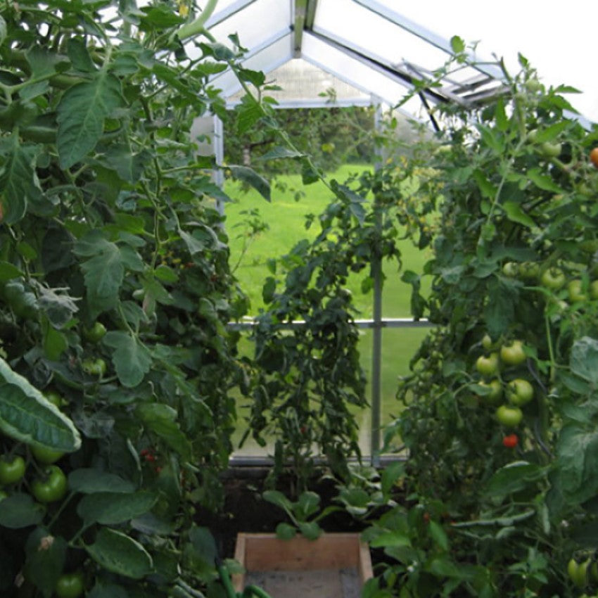 KGT | Nelke PRO 4 10x14 ft Greenhouse With 16mm Triple-Wall Polycarbonate Glazing