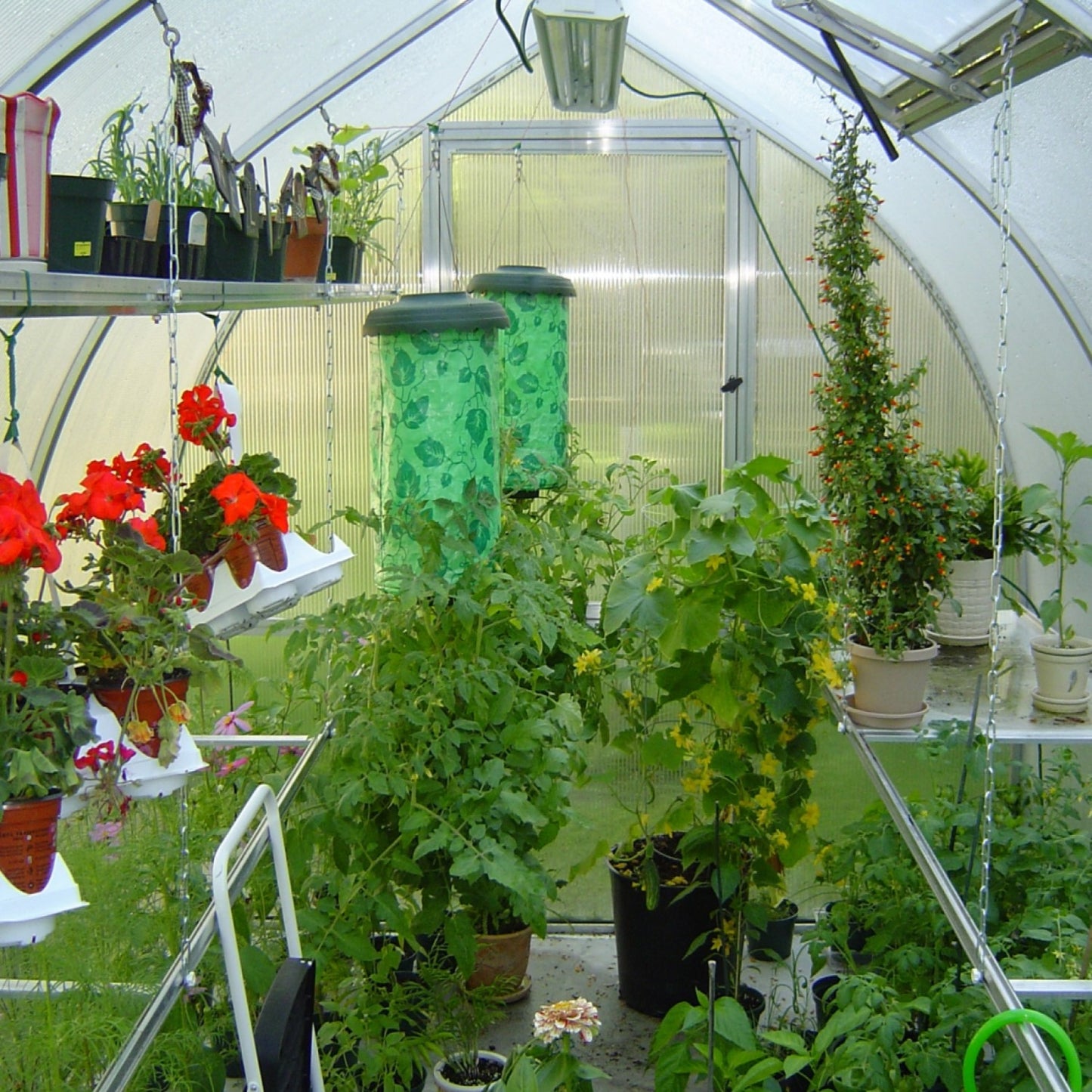 Hoklartherm | 9ft 8in x 10ft 6in x 7ft 7in Riga 3 Hobby Greenhouse Kit With 8mm Twin-wall Polycarbonate Glazing