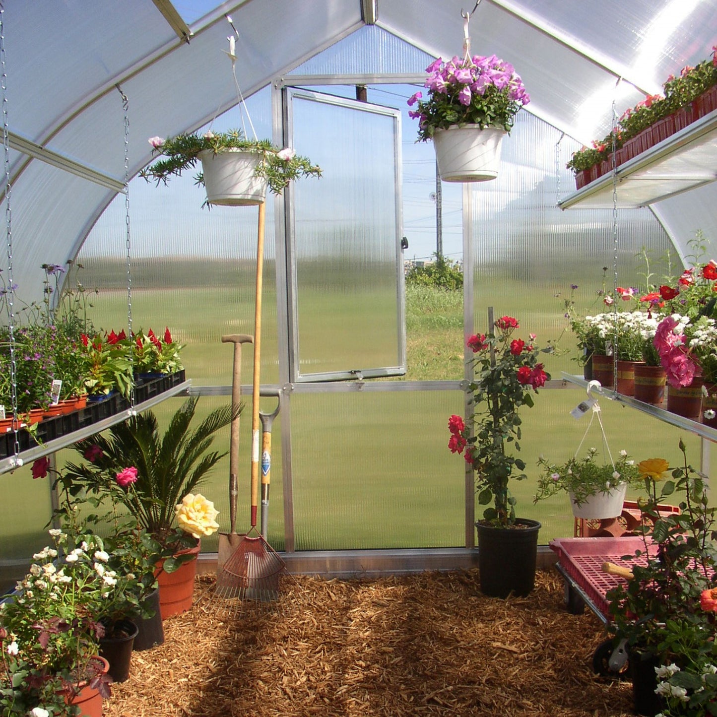 Hoklartherm | 7ft 8in x 14ft x 7ft 1in Riga 4S Hobby Greenhouse Kit With 8mm Twin-wall Polycarbonate Glazing