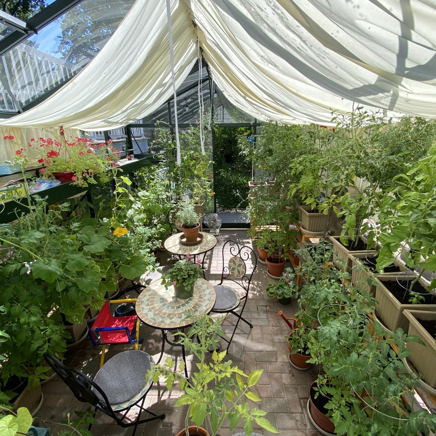 Janssens | 10x20x9 ft Royal Victorian VI 36 Medium Glass Greenhouse Kit With 4mm Tempered Glass Glazing
