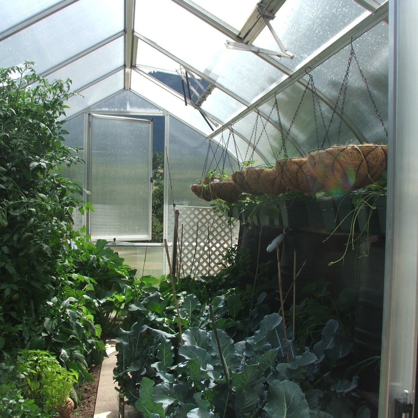 Hoklartherm | 9ft 8in x 17ft 6in x 7ft 7in Riga 5 Hobby Greenhouse Kit With 8mm Twin-wall Polycarbonate Glazing