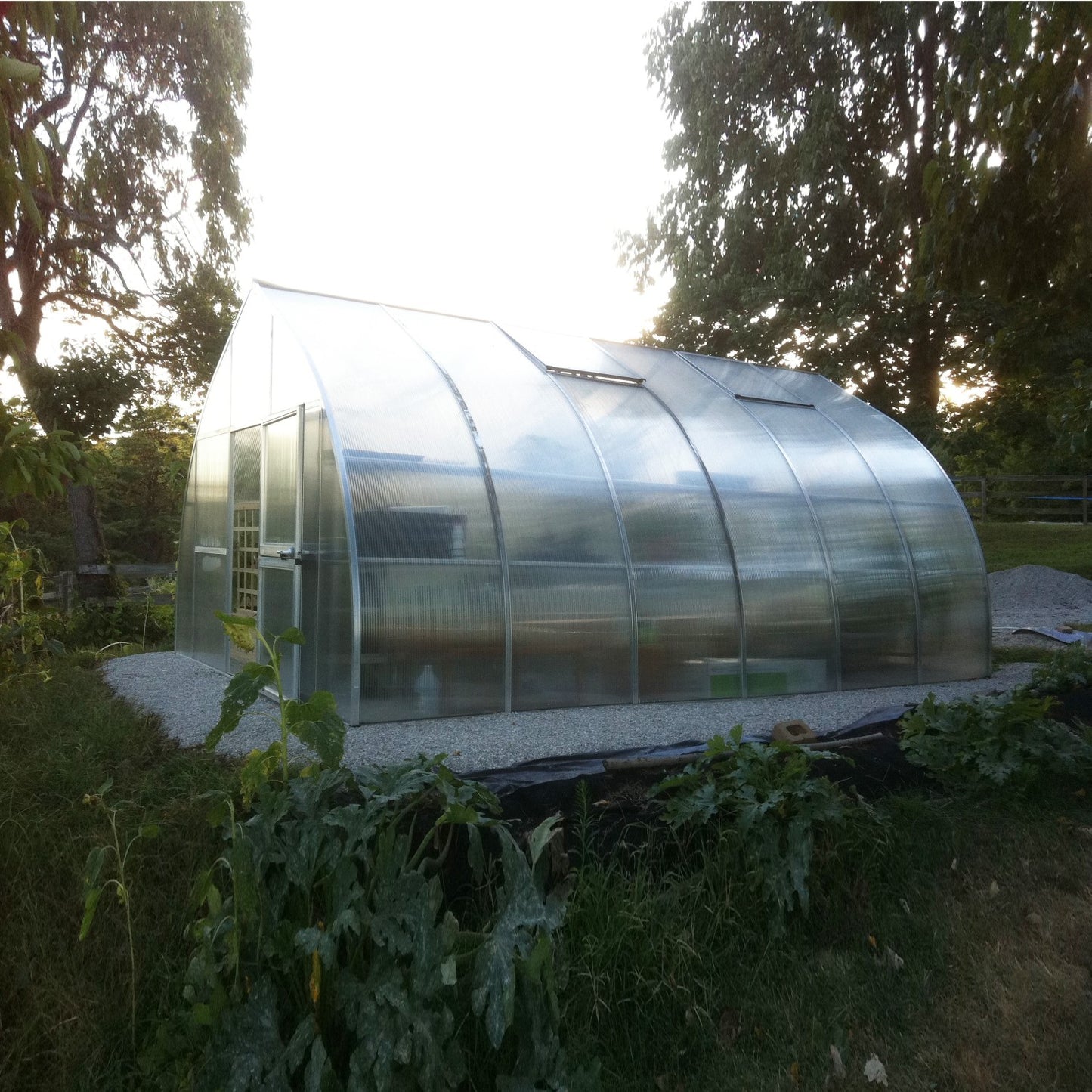 Hoklartherm | 14ft x 19ft 10in x 9ft 10in Riga XL6 Professional Greenhouse Kit With 16mm Triple-wall Polycarbonate Glazing