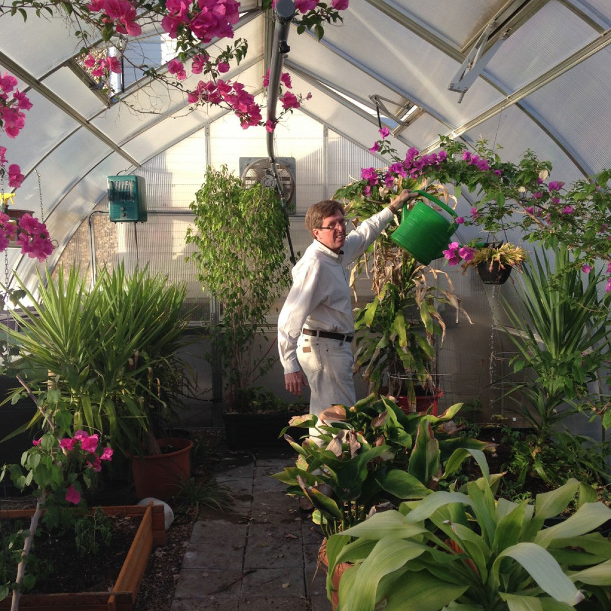 Hoklartherm | 14ft x 29ft 6in x 9ft 10in Riga XL9 Professional Greenhouse Kit With 16mm Triple-wall Polycarbonate Glazing
