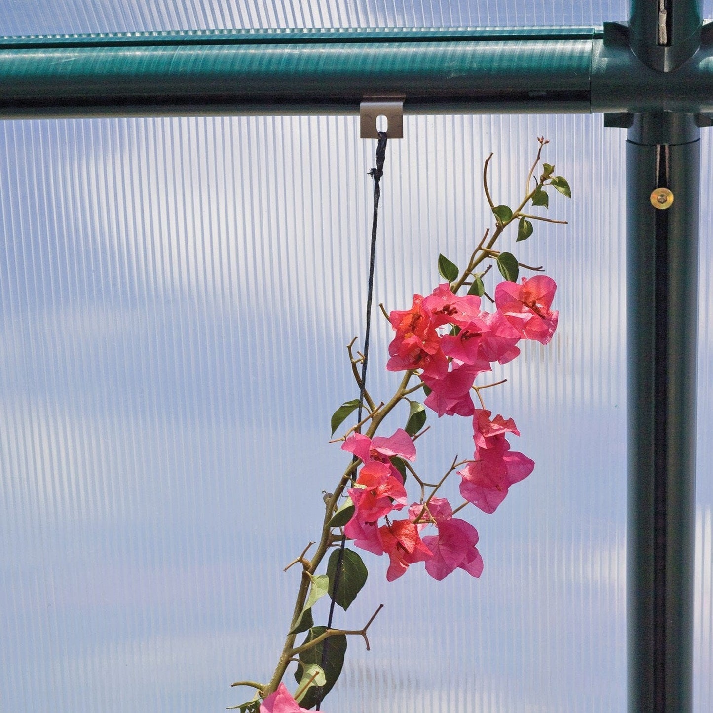 Palram - Canopia Rion Hanging & Anchoring Greenhouse Kit - mygreenhousestore.com