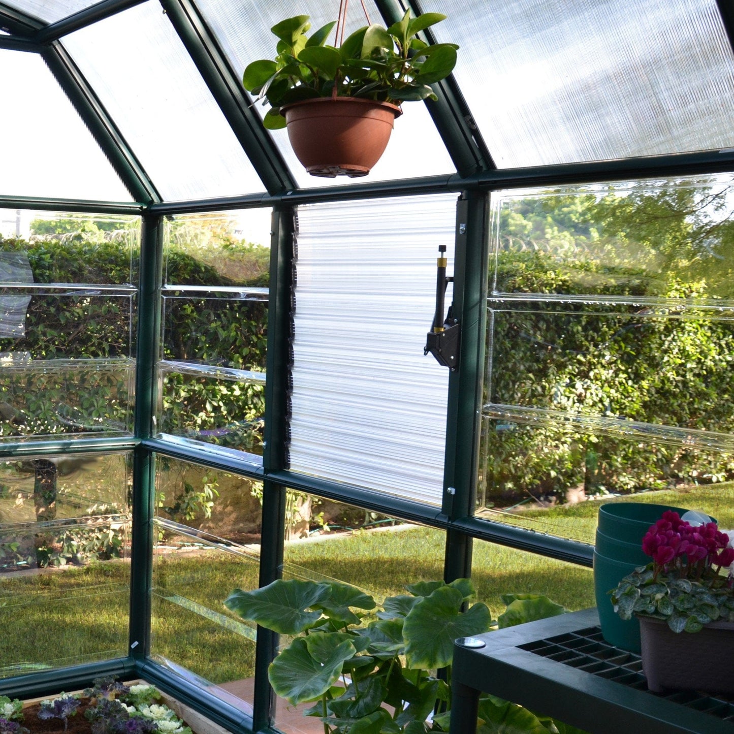 Palram - Canopia Rion Side Louver Greenhouse Window - mygreenhousestore.com