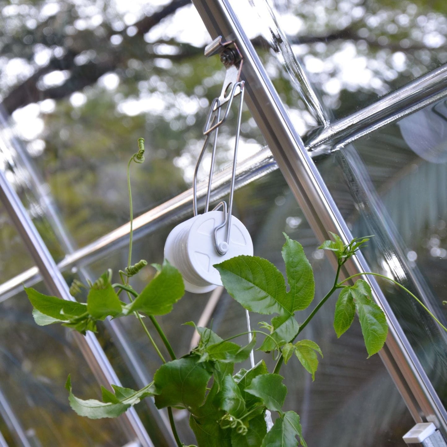 Palram - Canopia Greenhouse Accessories Palram - Canopia | Trellising Kit Pro for Palram - Canopia Greenhouses HG1024