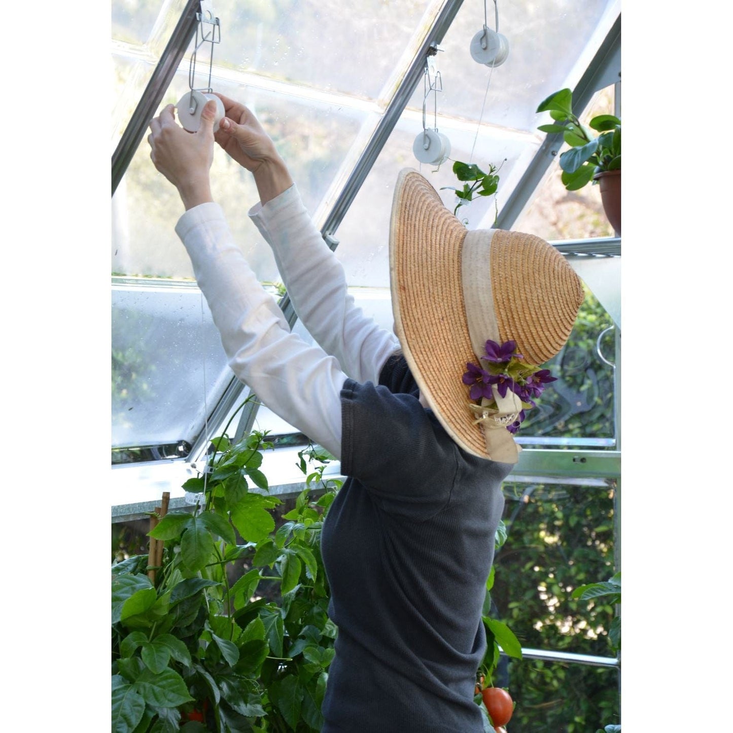 Palram - Canopia Greenhouse Accessories Palram - Canopia | Trellising Kit Pro for Palram - Canopia Greenhouses HG1024