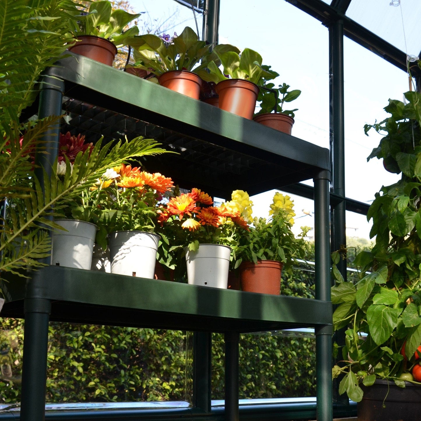 Palram - Canopia Two-Tier Work Bench - mygreenhousestore.com