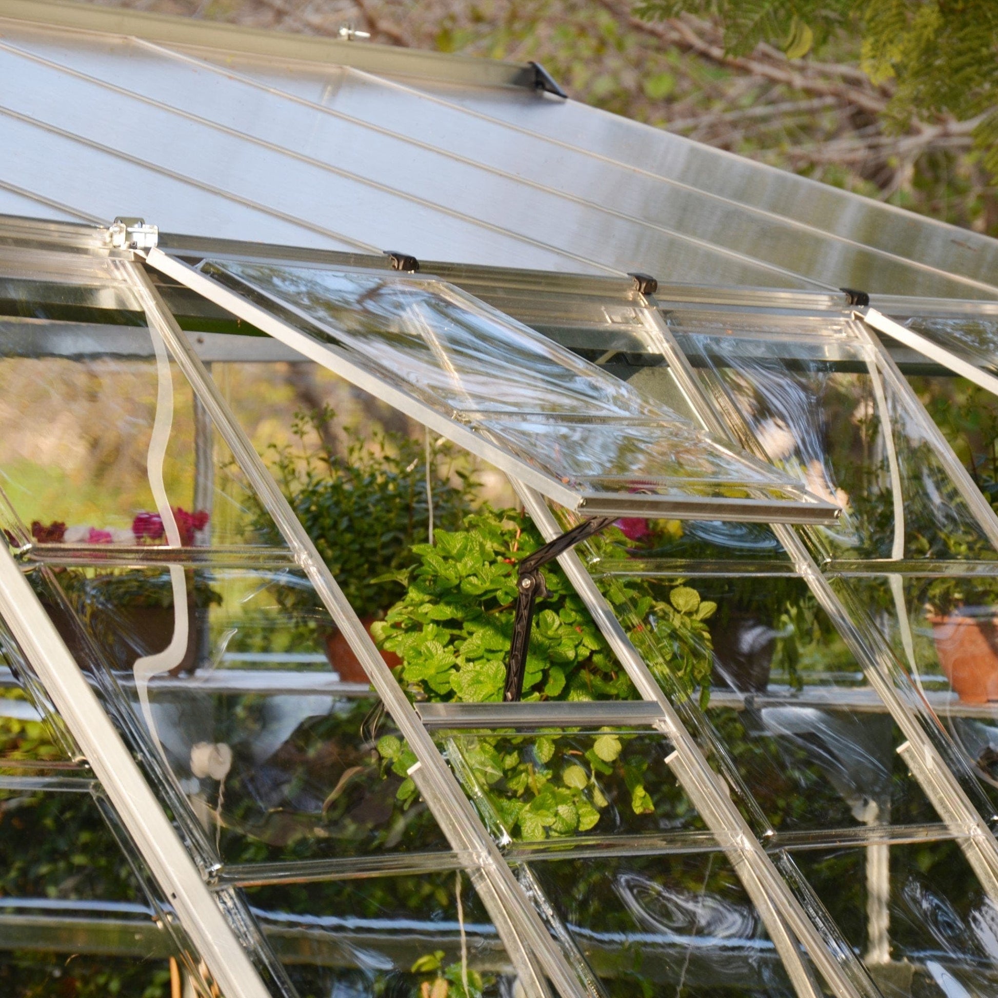Palram - Canopia Americana 12' x 12' Greenhouse - mygreenhousestore.com