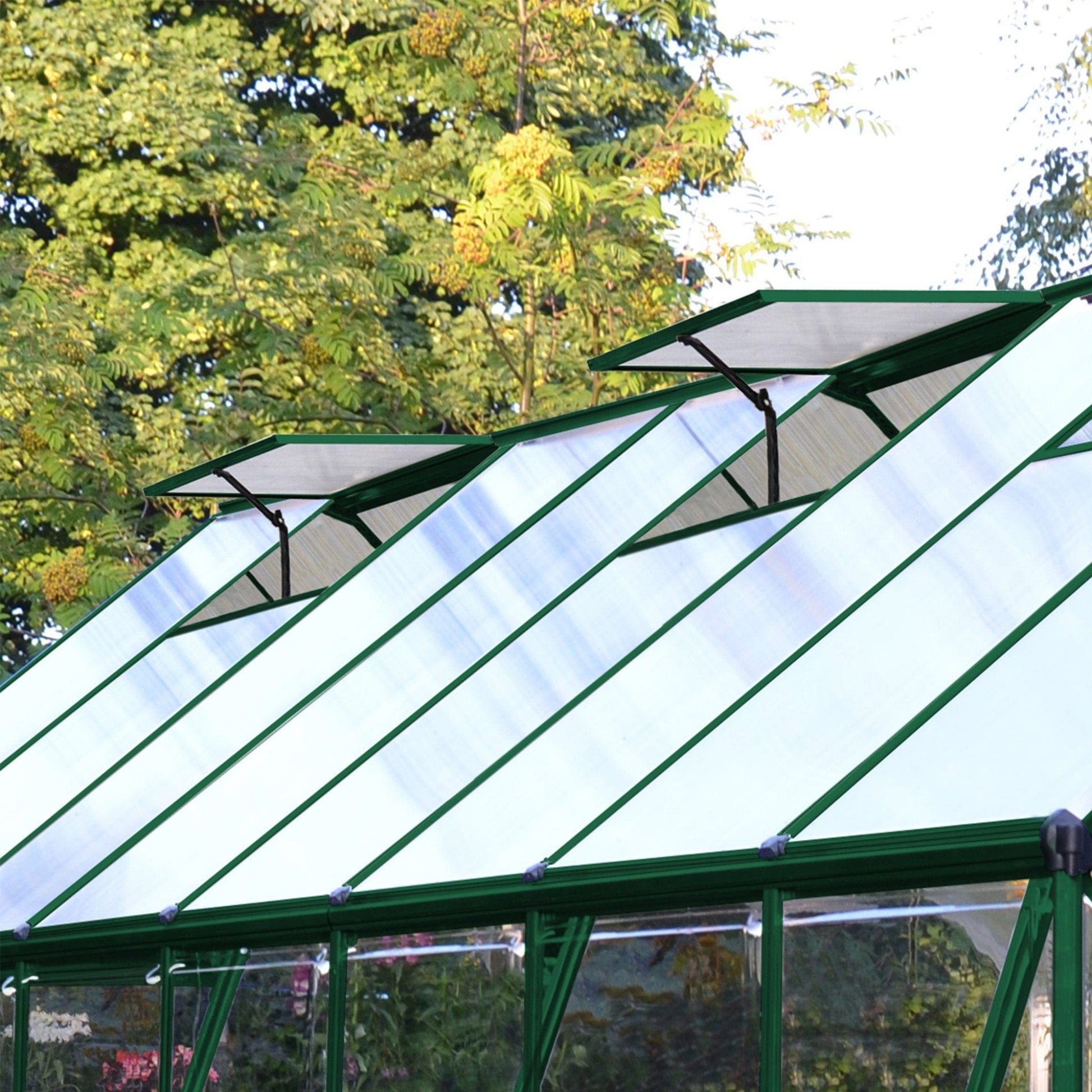 Palram - Canopia Balance Greenhouse - mygreenhousestore.com