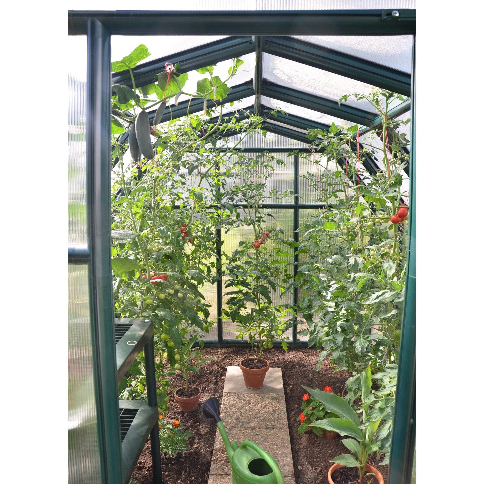 Palram - Canopia EcoGrow 2 Greenhouse - mygreenhousestore.com
