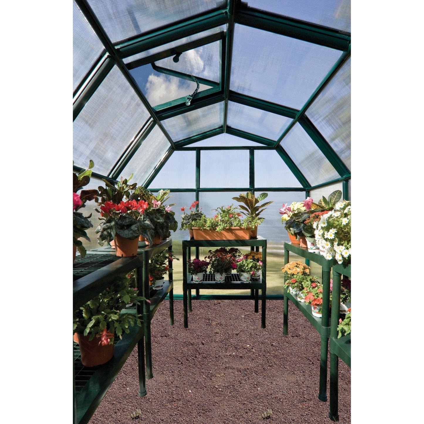 Palram - Canopia EcoGrow 2 Greenhouse - mygreenhousestore.com