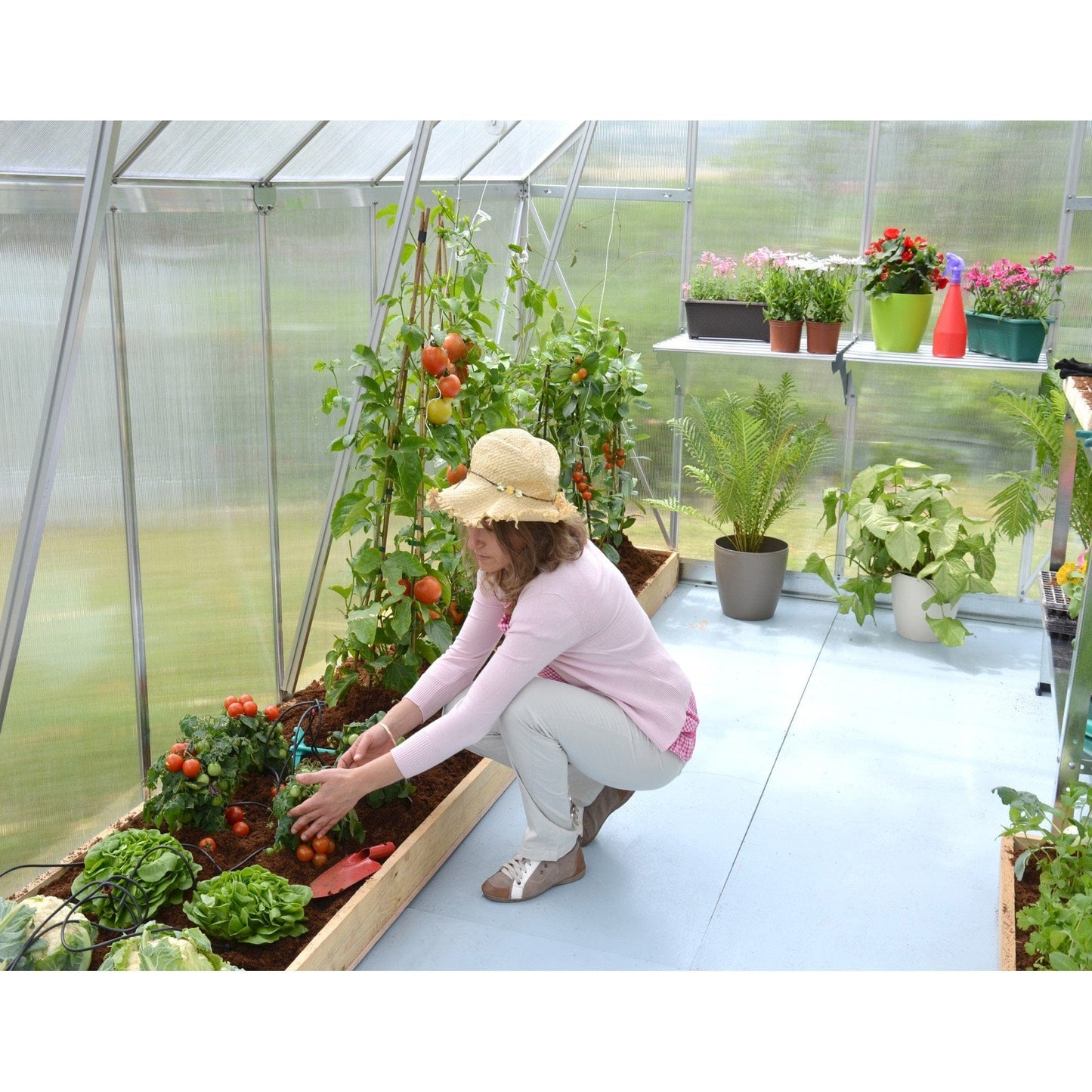 Palram - Canopia Essence 8' x 12' Greenhouse - mygreenhousestore.com