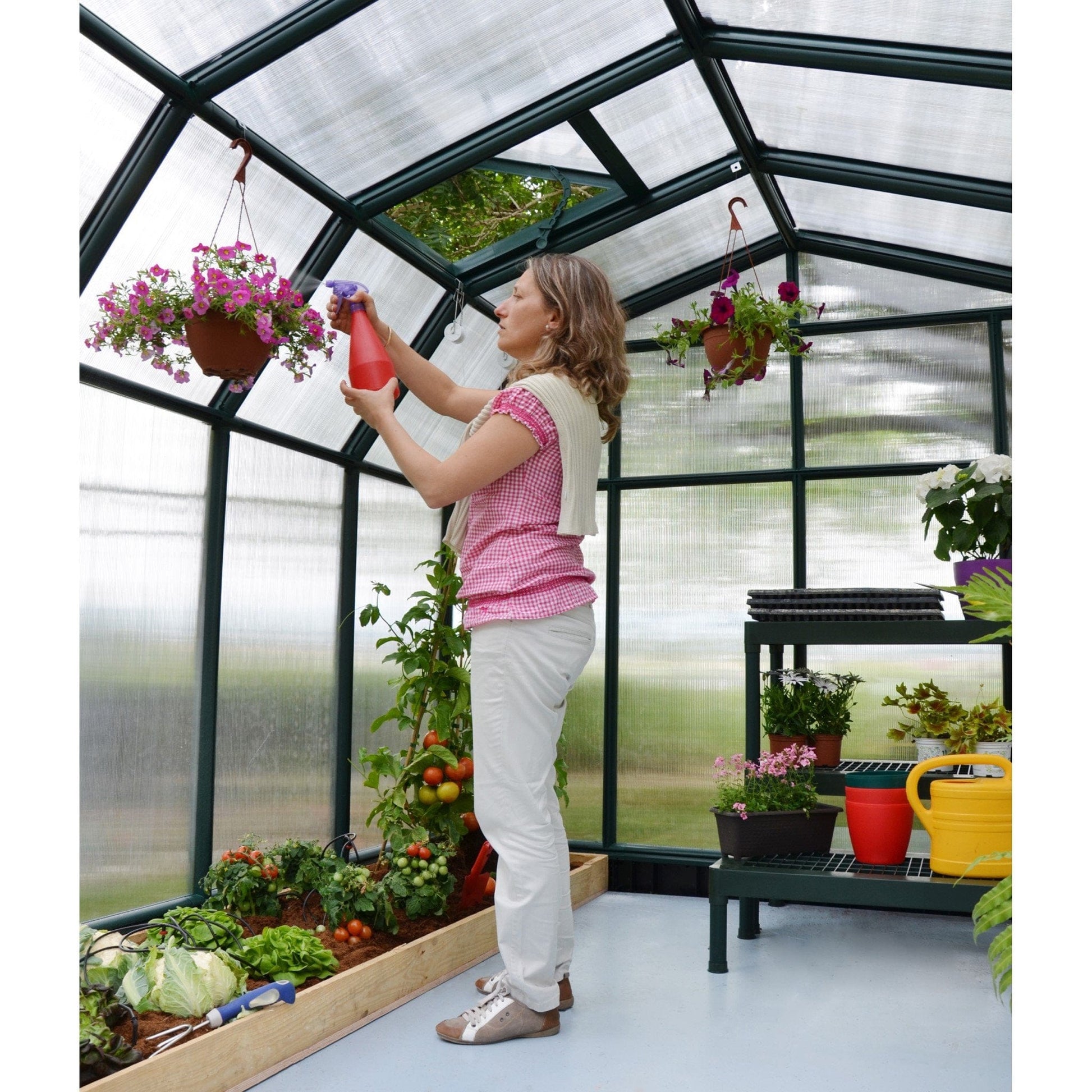 Palram - Canopia Hobby Gardener Greenhouse - mygreenhousestore.com