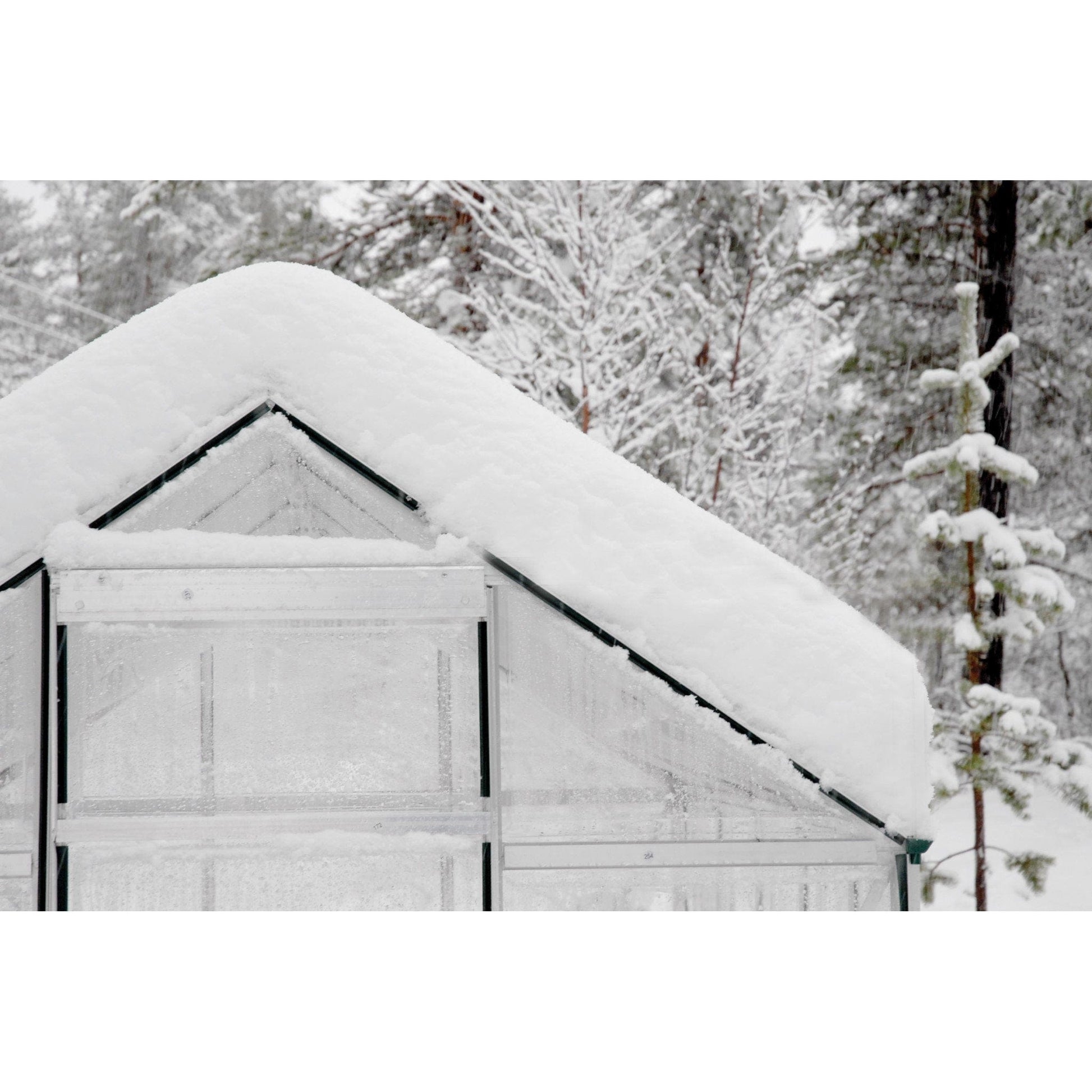 Palram - Canopia Greenhouse Kit Palram - Canopia | Hybrid Greenhouse 6x6 ft Green HG5506G-1B