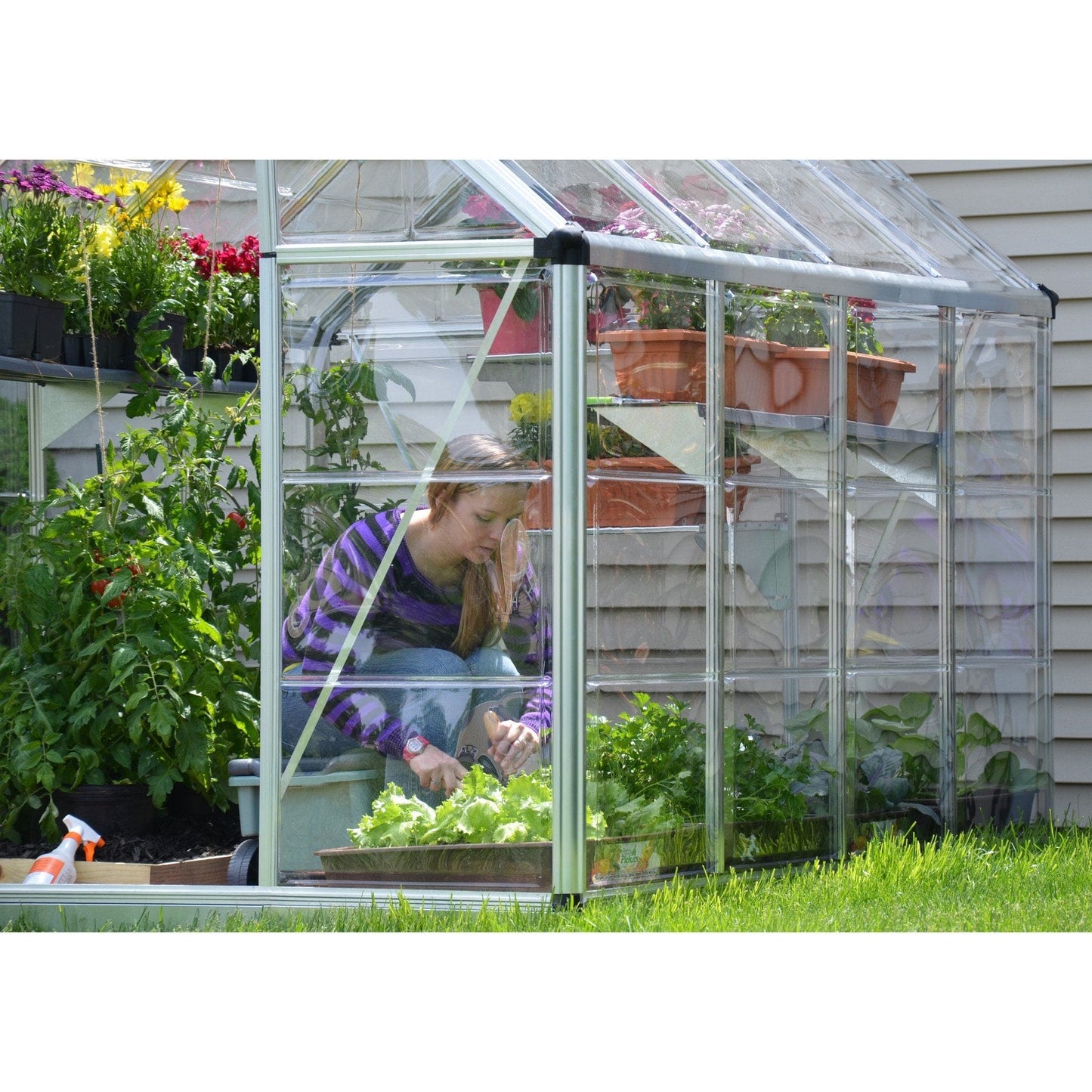 Palram - Canopia Snap & Grow Greenhouse - 6' Wide - Silver - mygreenhousestore.com