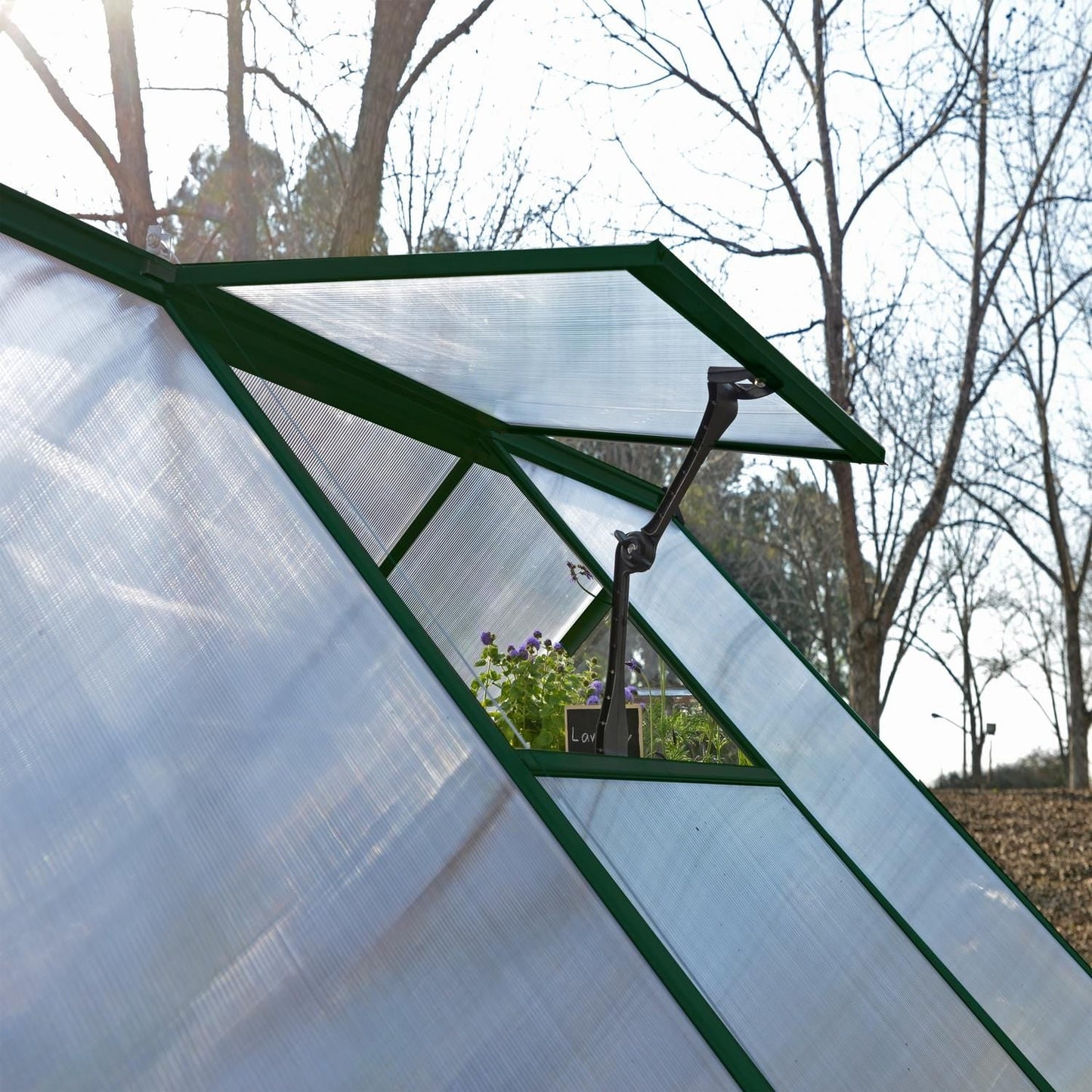 Palram - Canopia Greenhouses Palram - Canopia | Hybrid 6x10 Ft Greenhouse - Green HG5510G