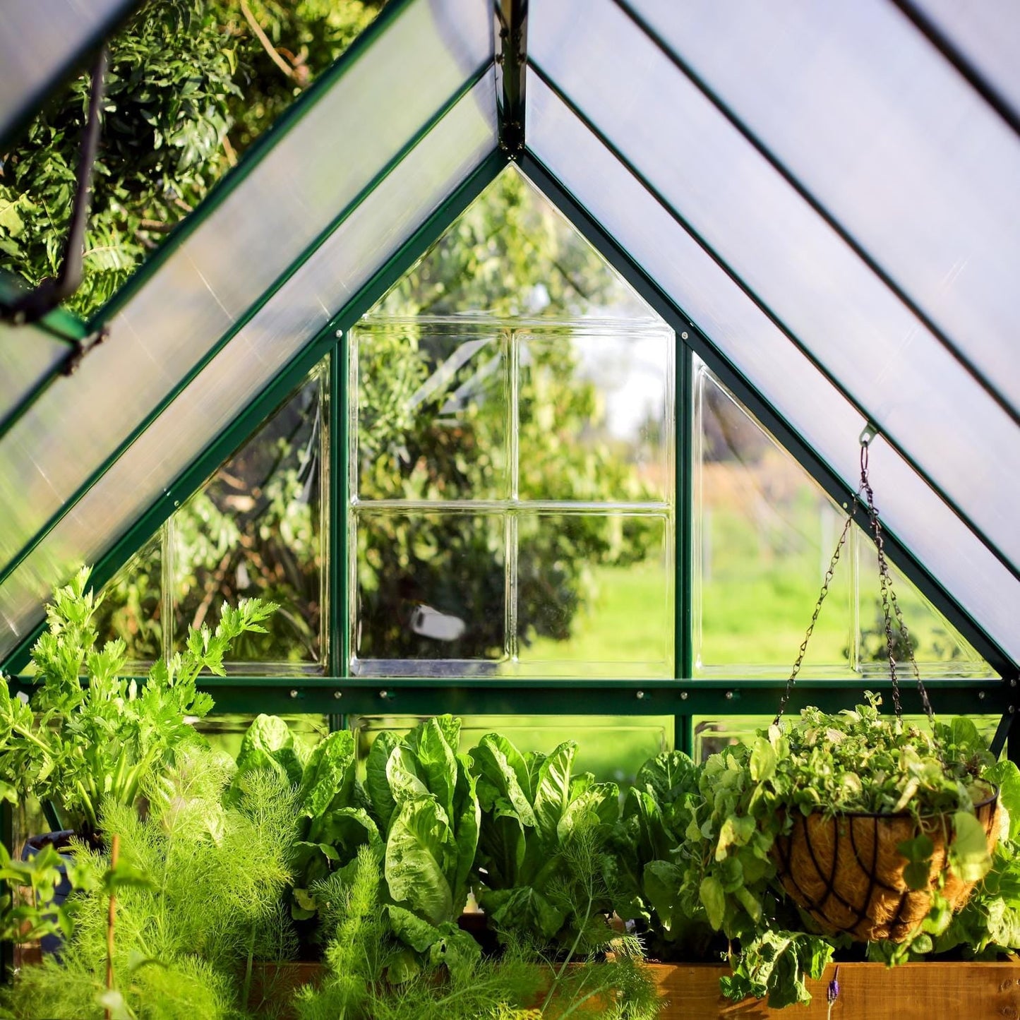 Palram - Canopia Greenhouses Palram - Canopia | Hybrid 6x10 Ft Greenhouse - Green HG5510G