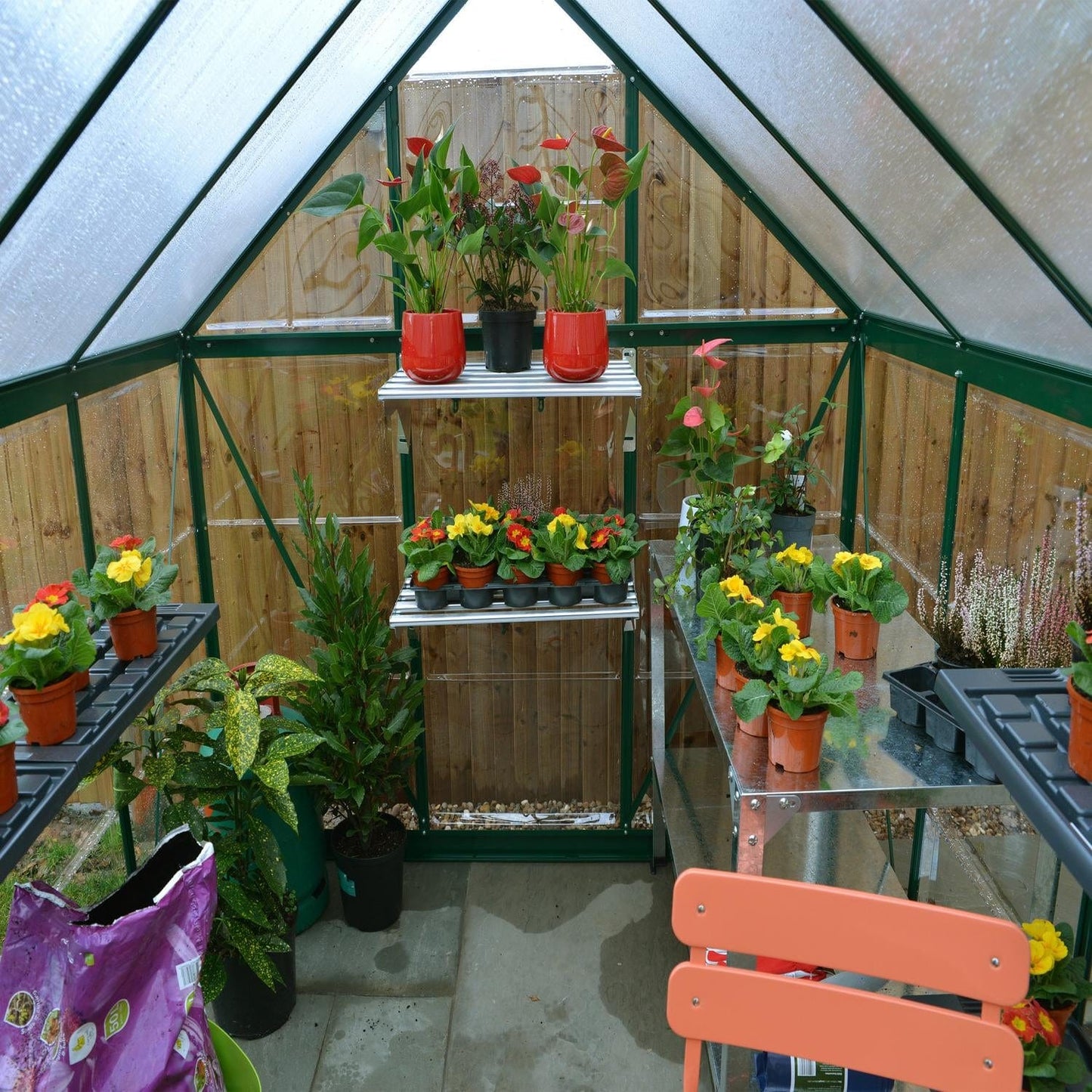 Palram - Canopia Greenhouses Palram - Canopia | Hybrid 6x10 Ft Greenhouse - Green HG5510G