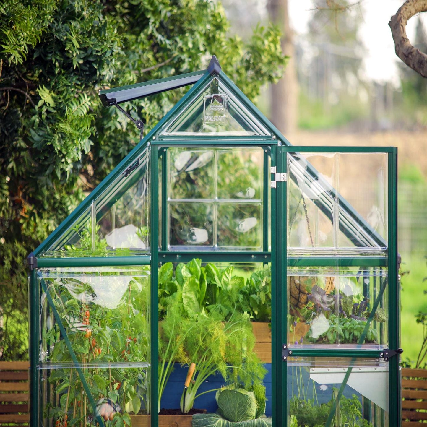 Palram - Canopia Greenhouses Palram - Canopia | Hybrid 6x10 Ft Greenhouse - Green HG5510G