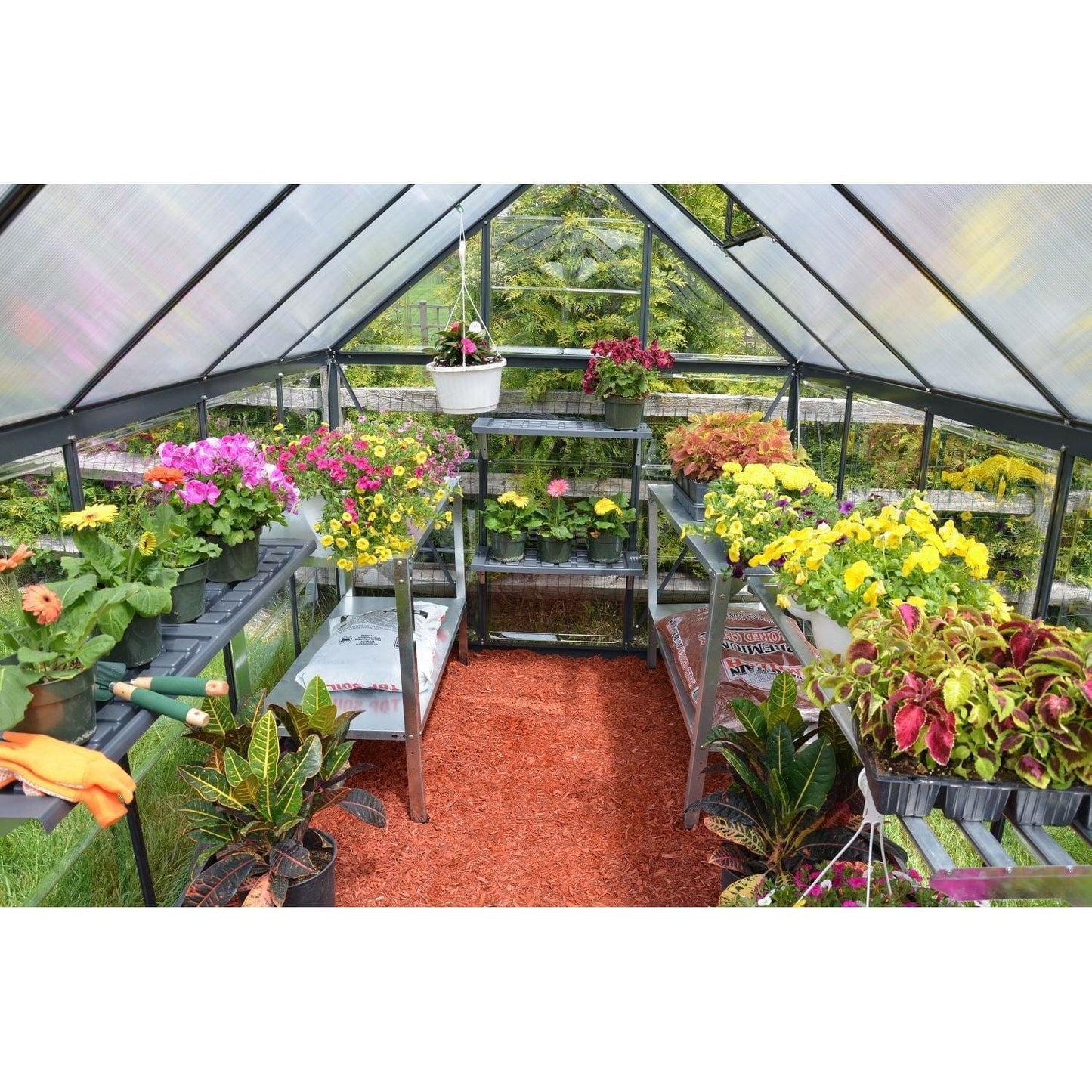 Palram - Canopia Greenhouses Palram - Canopia | Mythos Greenhouse 6x10 Ft - Gray HG5010Y
