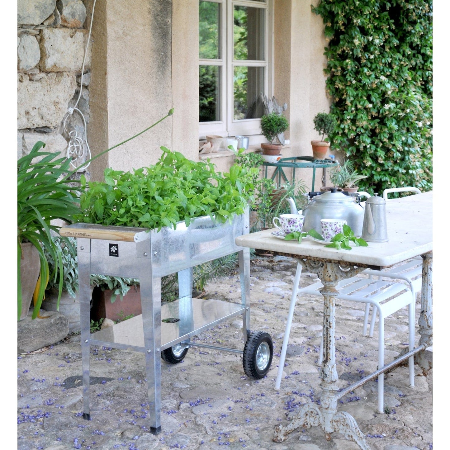 Palram - Canopia Herstera Garden Trolley Galvanized 8933801