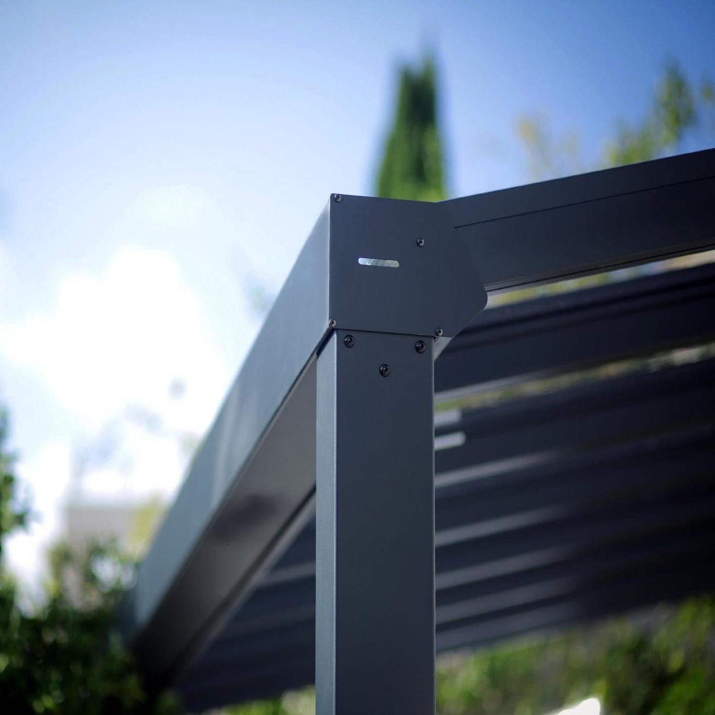 Palram - Canopia Patio Cover Palram - Canopia | Stockholm 11x31 ft Patio Cover - Gray/Clear HG9466