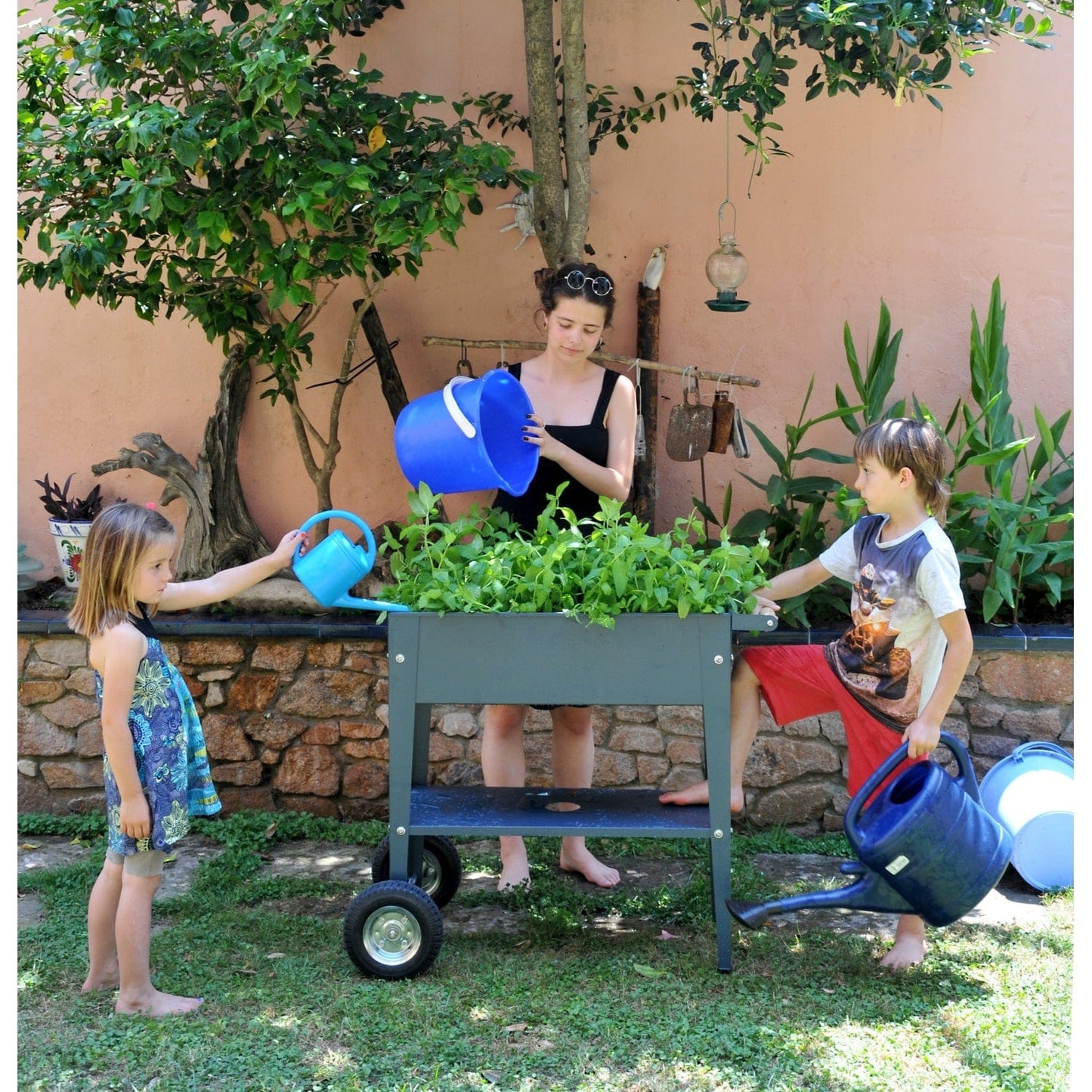 Palram - Canopia Planters Herstera Garden Trolley Anthracite HER1001