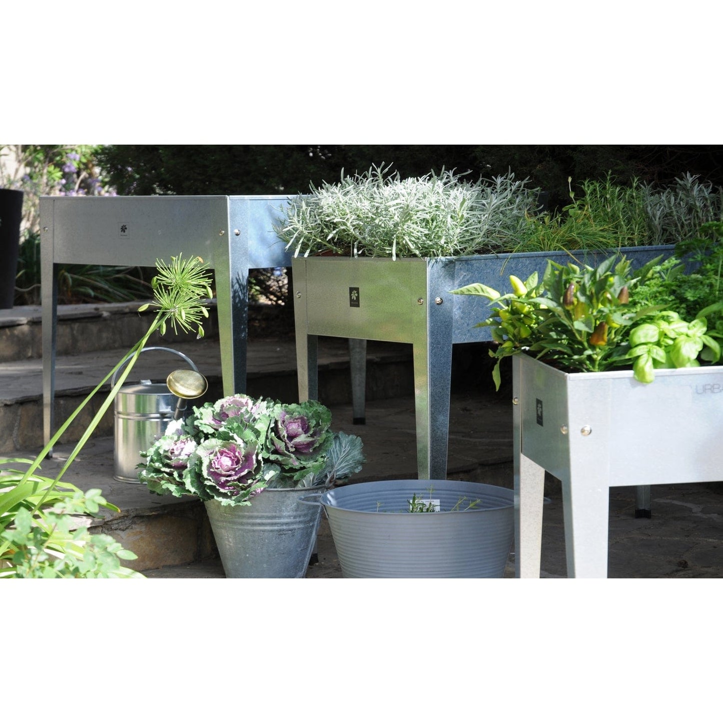 Palram - Canopia Planters Herstera Urban Raised Planter Galvanized HER2000
