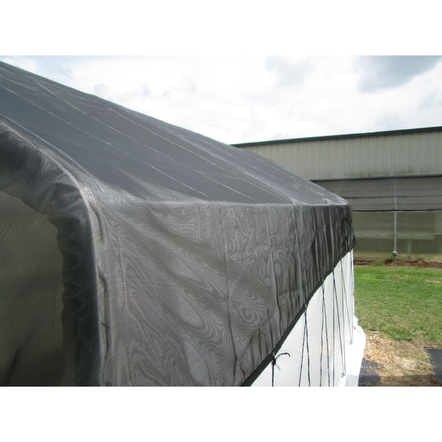 Riverstone Industries Educational Greenhouse Kit Riverstone | Carver Poly 10FT x 27FT Educational Greenhouse Kit R1027-P