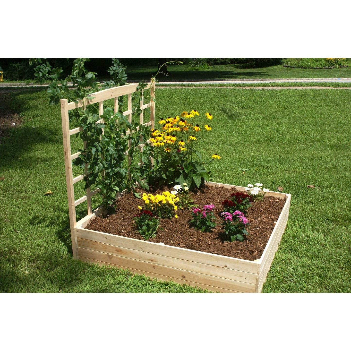 EDEN Raised Garden Bed with Trellis (4' x 4' x 11") With 44" Trellis - mygreenhousestore.com