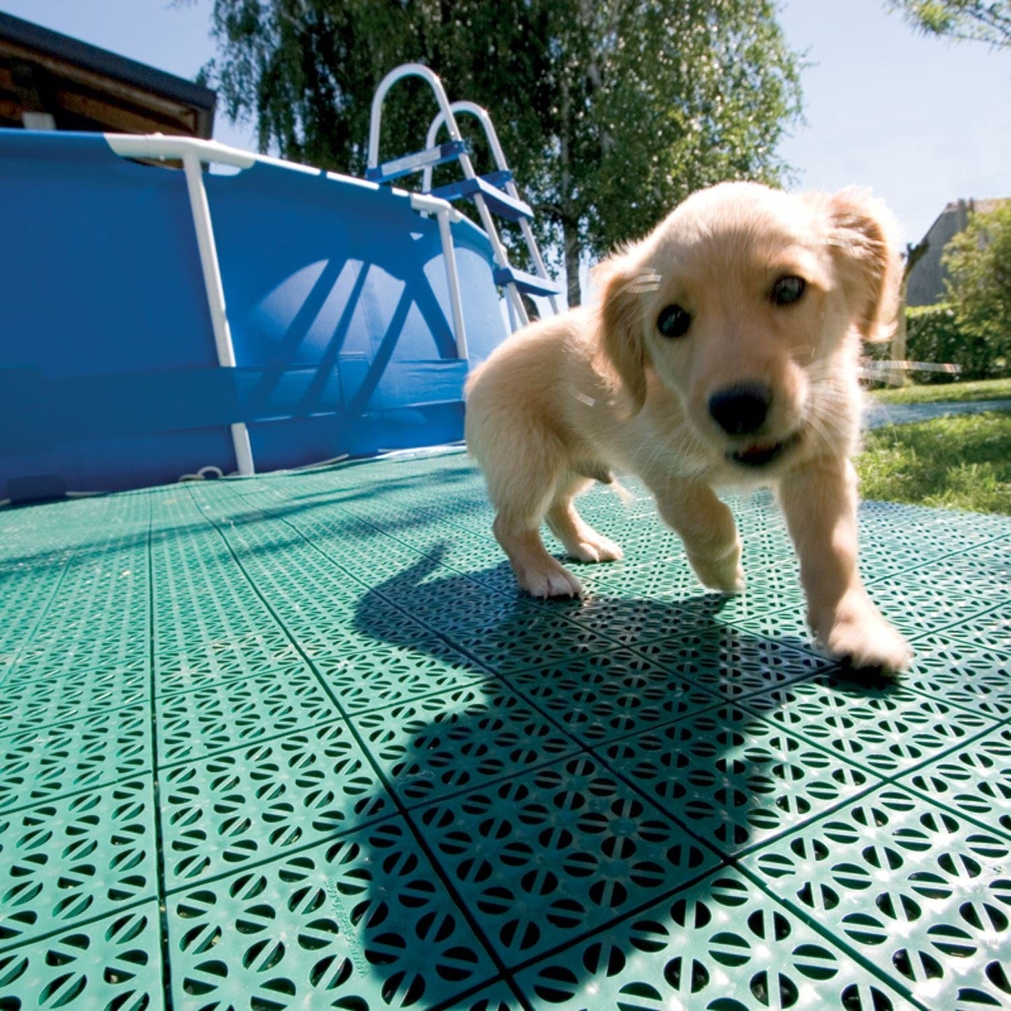 Riverstone Industries Greenhouse Accessories Riverstone | MONT 12' Greenhouse Interlocking Flooring System - 31 Tiles Kit