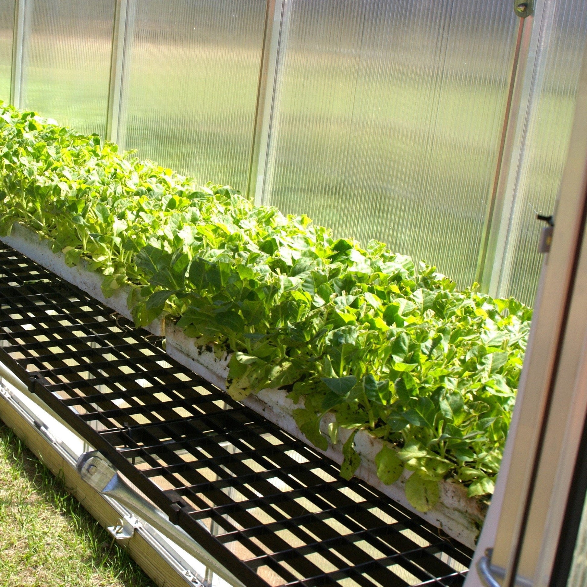 Riverstone Industries Workbench System For Monticello Greenhouses - mygreenhousestore.com